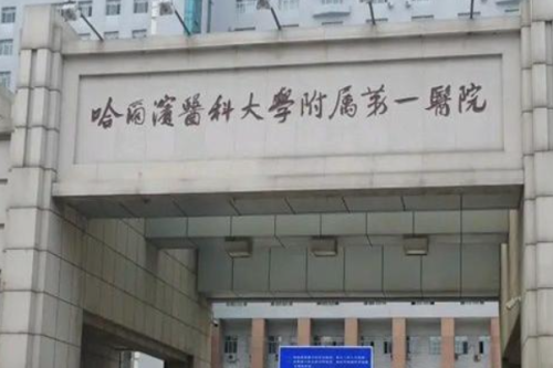 哈爾濱醫(yī)科大學(xué)附屬第一醫(yī)院植發(fā)費用多少?于冬梅|遠(yuǎn)健醫(yī)生案例一覽