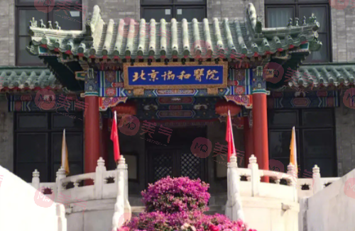 北京隆胸正規(guī)醫(yī)院排名，熱度飆升TOP榜網(wǎng)友認(rèn)可度在線看！