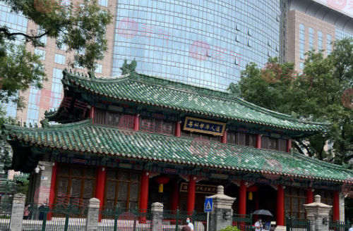 北京協(xié)和醫(yī)院整形外科價格表，醫(yī)生匯總_醫(yī)院簡介